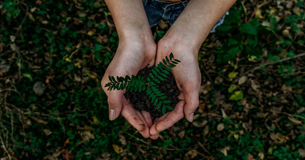 Ambiente y Protección Ambiental